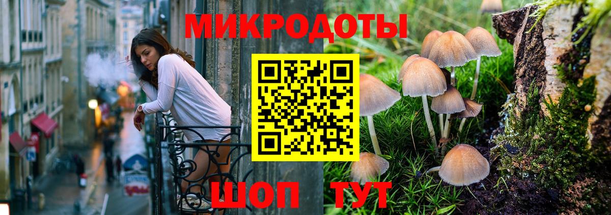 Псилоцибиновые грибы Psilocybe Рязань